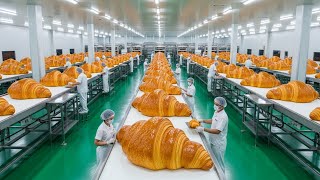 Inside a Modern Croissant Factory: From Butter Sheets to Flaky Golden Pastries (Full Process)