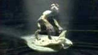 FunnY ALiEN