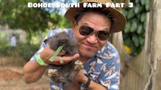 Bohol South Farm Part 3