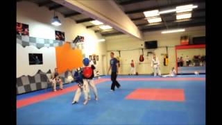 Leinster Taekwondo