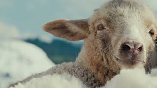 Dj Remo & CERES - Money (Lucky Luke Remix) (Officiel Video)