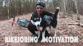 BIKEJORING MOTIVATION - Spring 2020