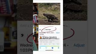 iPhone AI Feature You May Not Know Yet