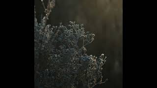 Hope - Hideyuki Hashimoto (Official Audio)