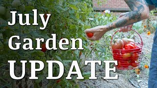 Our July GARDEN Update!