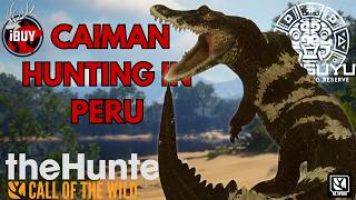 INSANE EARLY ACCESS Black Caiman Hunt! Piebald & Max Score?! | theHunter: Call of The Wild