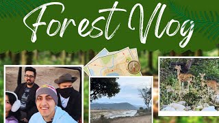 JIM CORBETT FOREST - DHIKALA ZONE