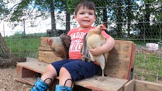 cluckin around 🐓🌞