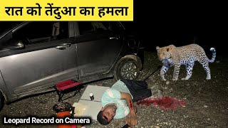 Man-eater Attack 🐆Leopard Captured on Camera Solo Night Camping In Forest Jungle Camping Video in...