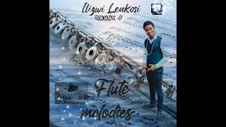 Sanele Jama - Ilizwi Lenkosi.....Flute melodies 🎹