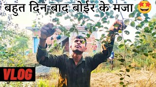 बहुत दिन बाद बोईर के मजा 🤩!! Village Vlog Video !! DN SARDHA !! Nilesh Nirmalkar....#vlog 