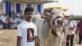 ఇంది రెడ్డి రమణారెడ్డి గారు బాలు గారి పల్లి గ్రామం వల్లూరు మండలం కడప జిల్లా