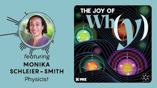 Can Quantum Gravity Be Created in the Lab? | PODCAST: The Joy of Why