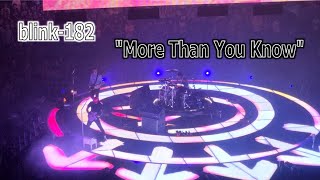 "More Than You Know" blink-182 | StewarTV