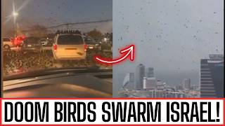 IS GOD WARNING ISRAEL? CROWS FLOOD SKIES IN TELAVIV