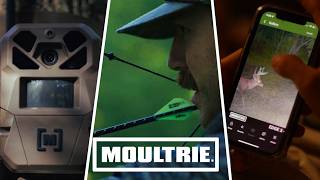 Opening Day Twist: How I Changed My Hunt in the Moment