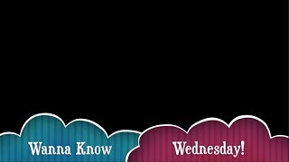 Future Goals | Wanna Know Wednesday is Back!