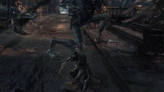 Bloodborne - HUDless Run - Cleric Beast
