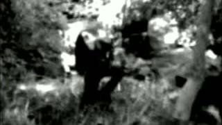 Necrothorn's Ildjarn inspire album.