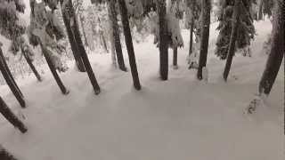Snowboarding/Skiing-The Hood