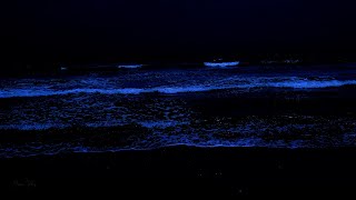 Instantly Fall Asleep - Improve Your Sleep Quality with Ocean Wave Sounds at Night