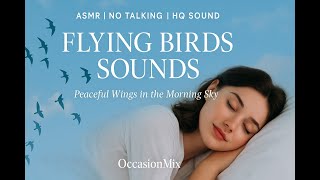 ASMR | No Talking | Flying Birds Sounds | ASMR | Bird Chirping for Relaxation and Calm
