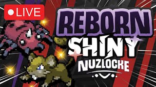 Shiny Hunting LIVE?! Pokemon Reborn Shiny Nuzlocke! 🔴 Live