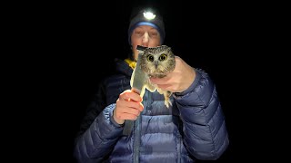 The Science of Saw-whet Owls