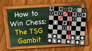 How to Win Chess: The TSG Gambit