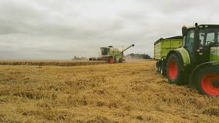 ŻNIWA 2017 CLAAS DOMINATOR 98SL