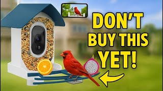 Don’t Buy a Smart AI Bird Feeder Until You Watch This Review!