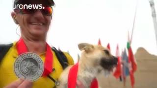 LiveLeak || Gobi proves a dog is for life || Just in time for Christmas