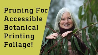 Hard Pruning To Access Eco Printing Vegetation! #ecoprinting #botanicalprinting