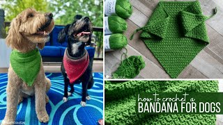 How to Crochet a Dog Bandana | Crochet Pattern Tutorial