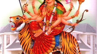 DEV STUDIO MITI Live Stream