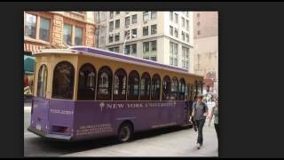 new york business schools