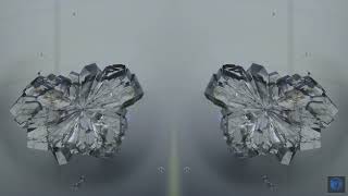 Watch a Sugar crystal grow and develop in this timelapse video.