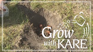 Grow with KARE: Keeping wildlife away from your bulbs