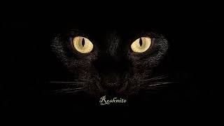 Argy - Anna - Miss Monique | Röshnİte (  Techno Mix 2023)