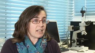 Έρευνα Υλικών στο ΙΠΡΕΤΕΑ