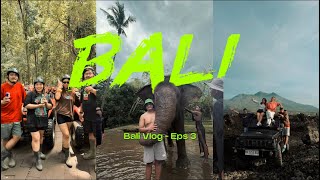 Elephant bath at bali zoo 🐘and we visited the animal excreta Balinese coffee☕️ 😱🔥