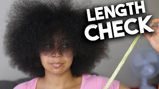 2 Years Natural Hair Length Check 4a/4b