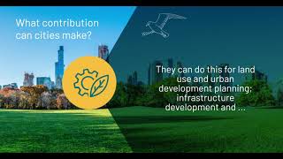 What contribution can cities make?