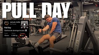 The progress continues insanely (Pull Day) | Brutal Gains #4