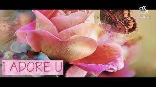 Sphoenix ~ I ADORE U