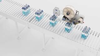 Front of Pack (FOP) Labelling Solution for Secondary Packaging