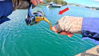 Landbased lure fishing and a surprise!