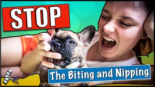 Stop Puppy Biting me and my clothes
