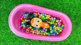 ✨ Enchanted Sounds: Live from the Whisper Woods