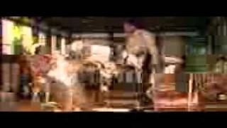 Video_Celine Dion~Titanic.3gp